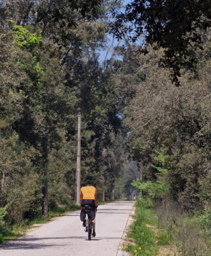 La Ciclovia Tirrenica è parte integrante del tessuto ciclistico di Livorno e collega la città alla vicina Pisa