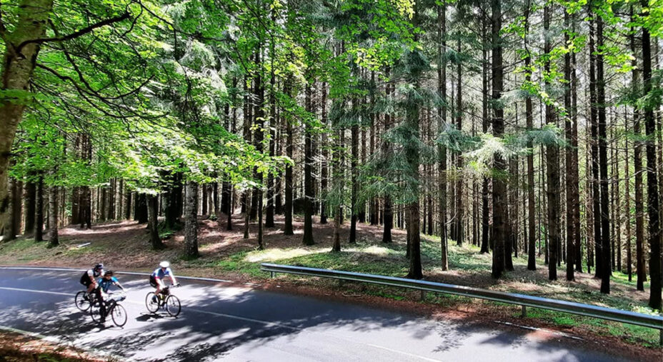 Il percorso ciclabile è una totale immersione nella natura, dando un'alternativa a chi sceglie la Calabria per le vacanze non solo in spiaggia