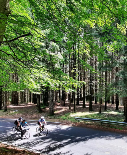 Il percorso ciclabile è una totale immersione nella natura, dando un'alternativa a chi sceglie la Calabria per le vacanze non solo in spiaggia