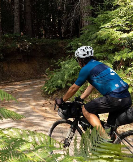 La Ciclovia si divide fra i parchi del Pollino, della Sila e dell'Aspromonte, i tre maggiori comprensori di Calabria