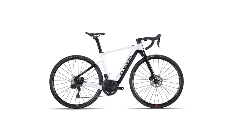 L'E-bike Olympia usata dal team di Tafi, con il motore Polini che ha dato ottime prestazioni