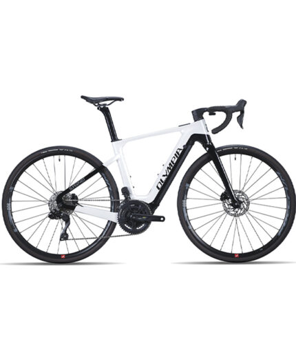 L'E-bike Olympia usata dal team di Tafi, con il motore Polini che ha dato ottime prestazioni