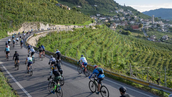 Colline del Prosecco di Conegliano e Valdobbiadene: la formula per un successo internazionale
