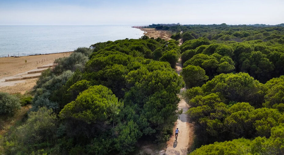 Le attività di Bikeezy si svolgono nell'area costiera di Bibione, fra mare e pineta