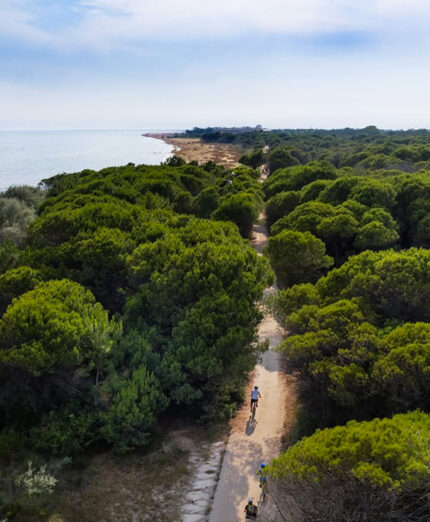 Le attività di Bikeezy si svolgono nell'area costiera di Bibione, fra mare e pineta