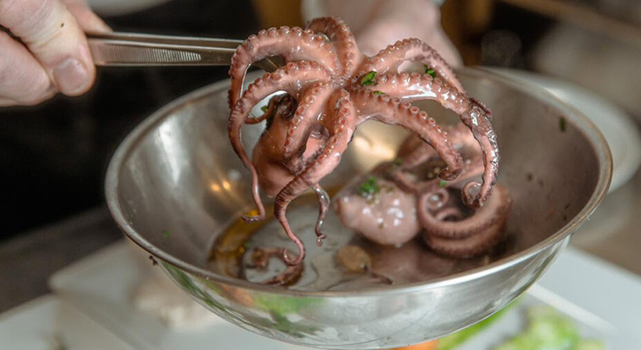 La freschezza della materia prima fa la differenza per la qualità dei piatti (foto Ristorante Eden)