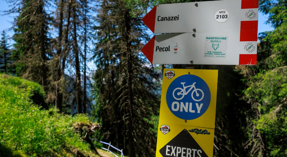 Le piste e i trail sono frecciati, al pari delle piste da sci, per la loro difficoltà (foto Fassabike)