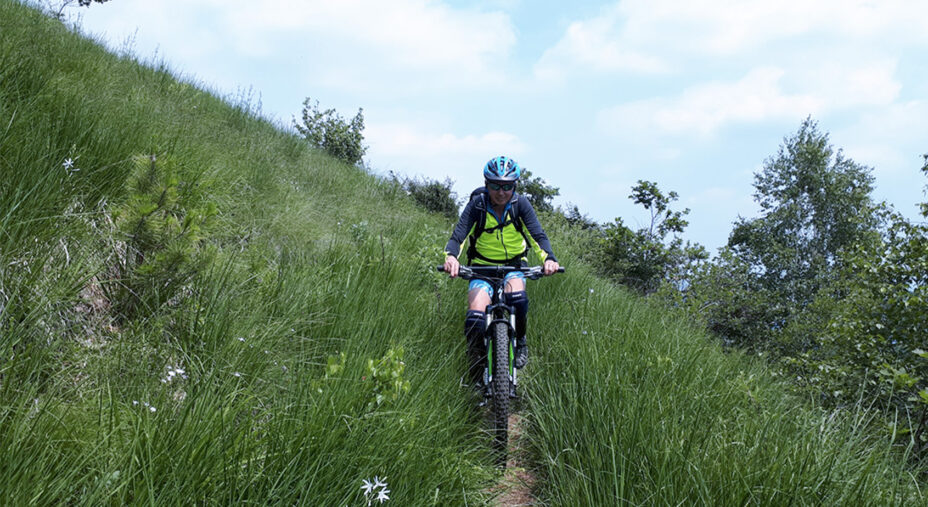 L'erba alta non consente di vedere eventuali serpenti quando si va in MTB o in gravel