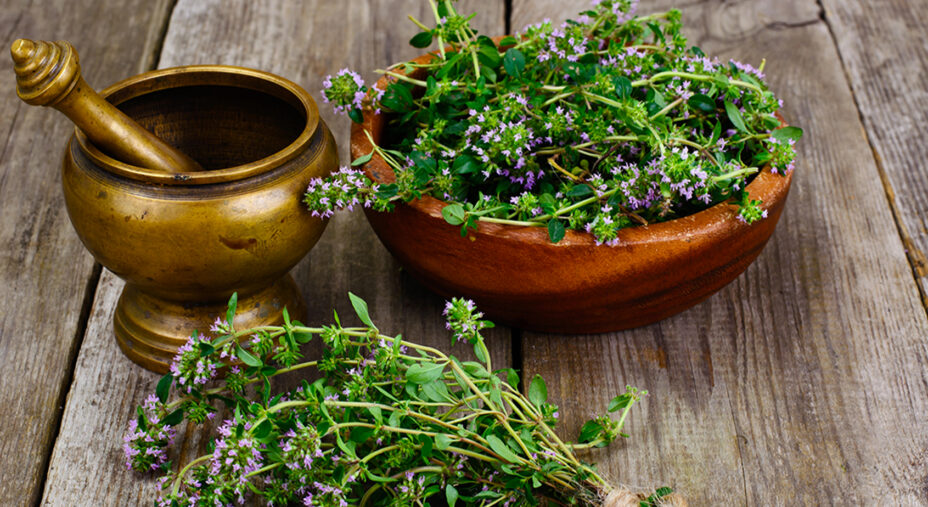 Timo, alimentazione, erbe aromatiche (depositphotos.com)