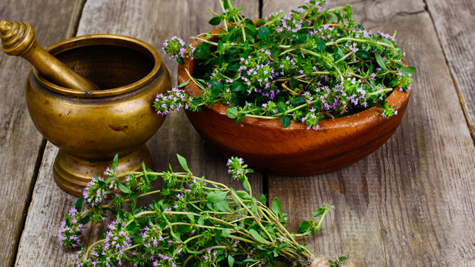Timo, alimentazione, erbe aromatiche (depositphotos.com)