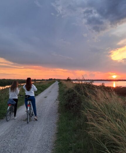 Amaparco, Valli di Comacchio, Romagna, Ravenna