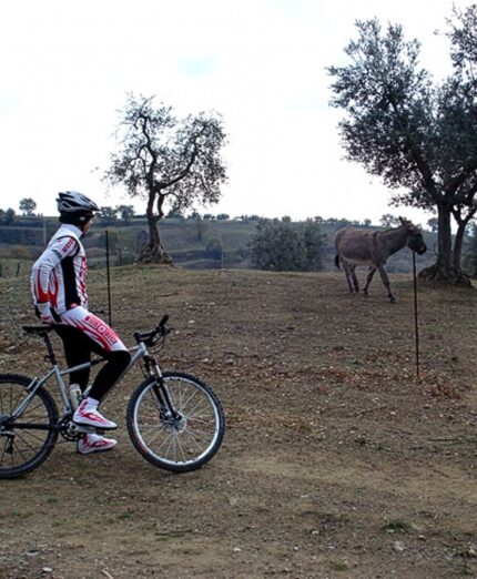 Bike in Umbria. Orvieto, Lago di Corbara e Monte Peglia, MTB