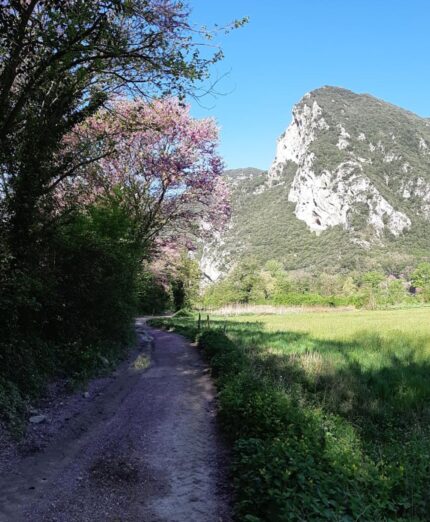 Bike in Umbria, Ciclovia del Nera, gravel