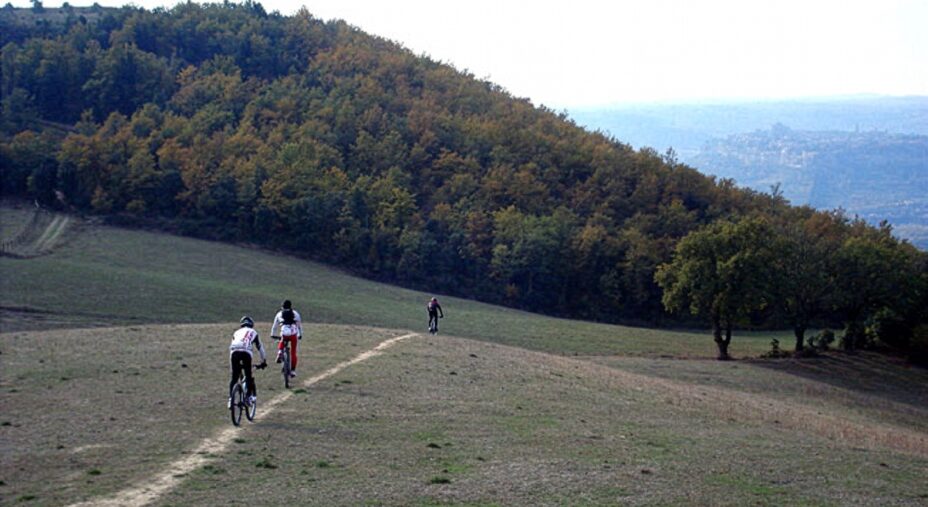 Bike in Umbria. Orvieto, Lago di Corbara e Monte Peglia, MTB