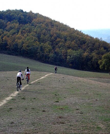 Bike in Umbria. Orvieto, Lago di Corbara e Monte Peglia, MTB