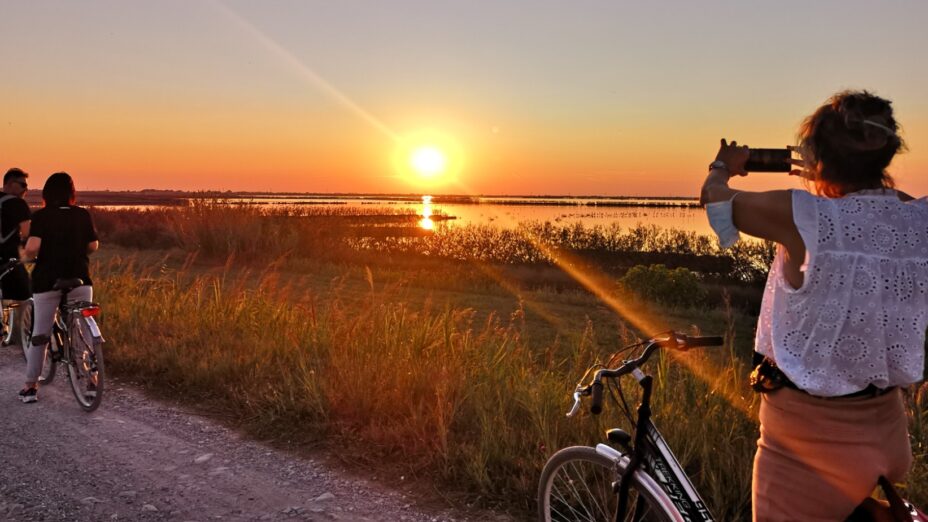 Amaparco, Valli di Comacchio, Romagna, Ravenna