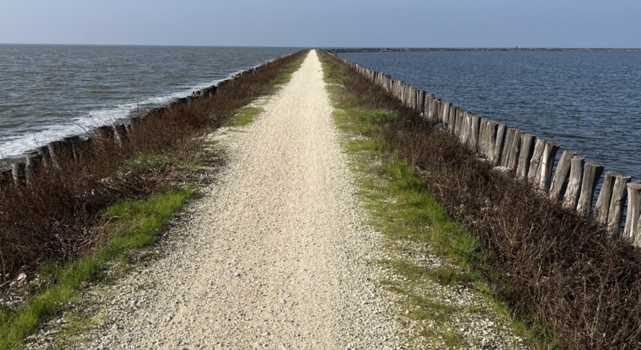 Amaparco, Valli di Comacchio, Romagna, Ravenna