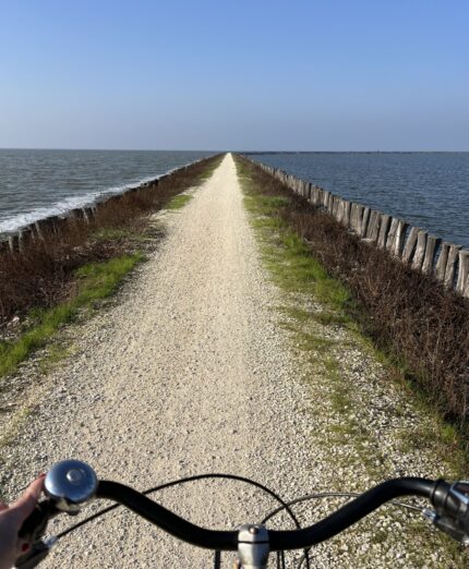 Amaparco, Valli di Comacchio, Romagna, Ravenna