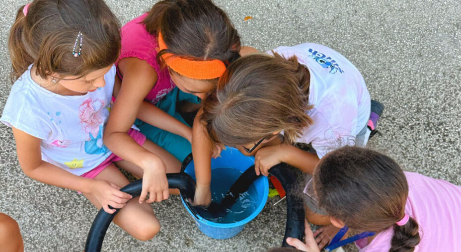 I piccoli esperimenti nell'acqua per scoprire dove si annidava la foratura, un gioco istruttivo