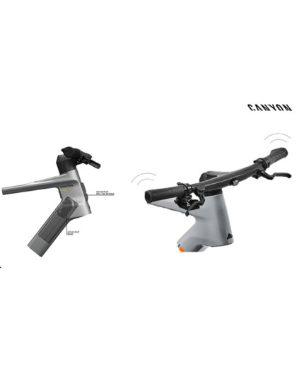 Canyon Roadlite:ON V2X