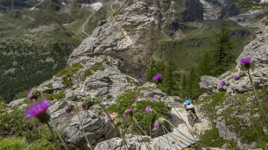 Il bike park di Breuil Cervinia, vero ricovero contro il caldo