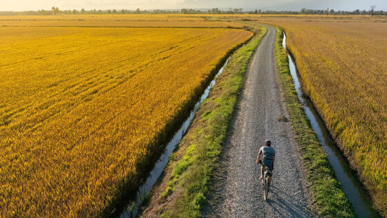 Via del Mare sul podio degli Oscar. Il Piemonte lancia la sua sfida