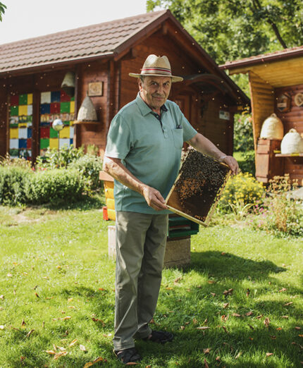 Slovenia Green apicoltore