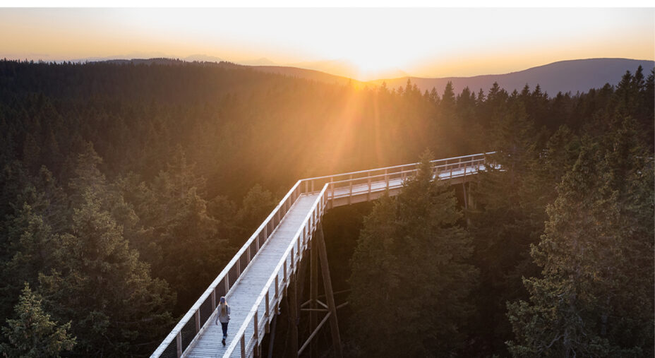 Slovenia Green passerella in legno