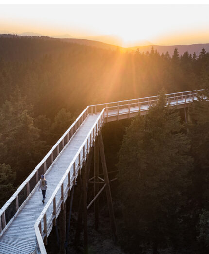 Slovenia Green passerella in legno