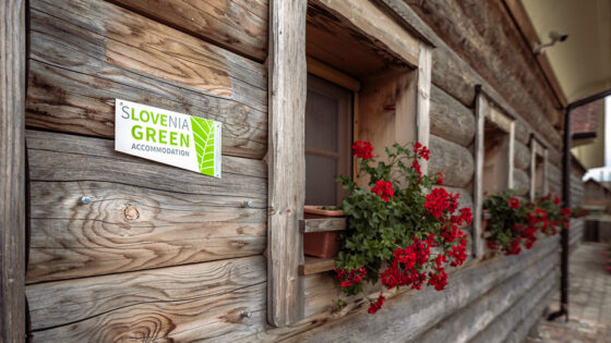 Slovenia Green