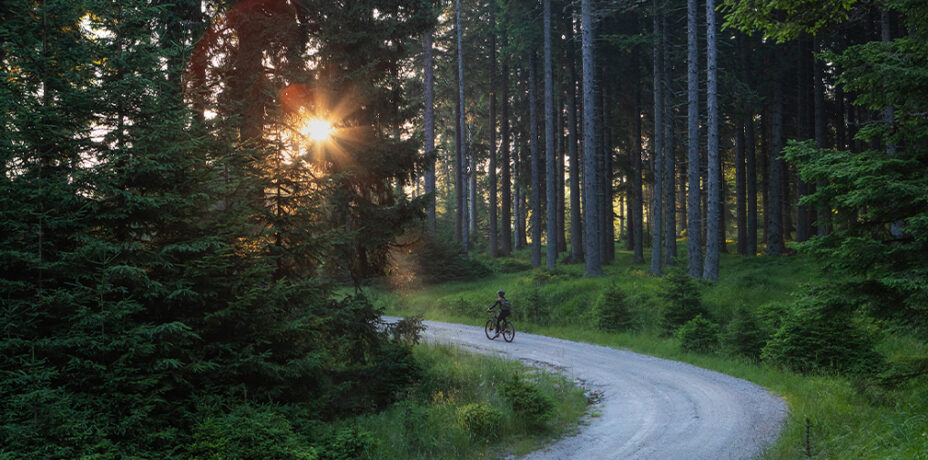 Slovenia, foresta e gravel