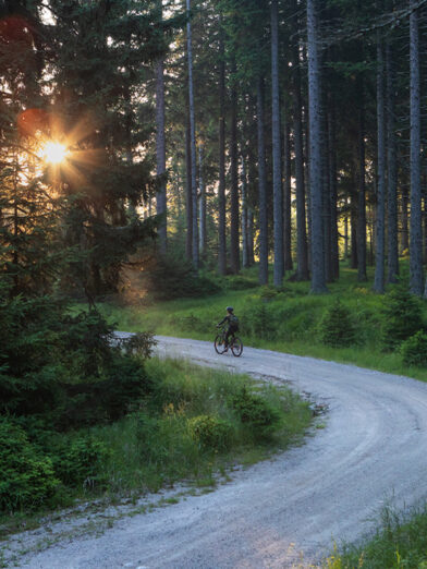 Slovenia, foresta e gravel