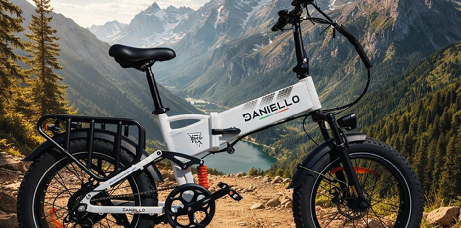 Voltix e-bike Daniello