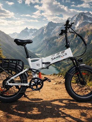 Voltix e-bike Daniello
