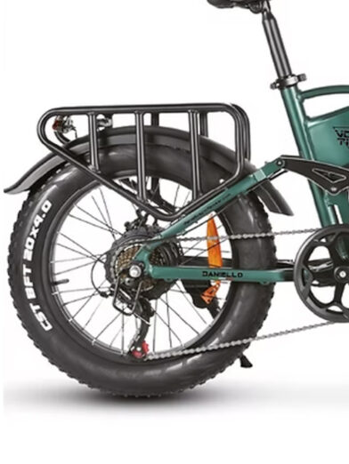 Voltix e-bike Daniello posteriore