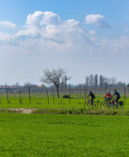 La campagna di Macello, nell'area di PInerolo, con le Alpi sullo sfondo (foto Edoardo Melchiori)