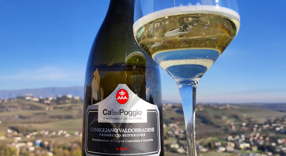 Il Prosecco è il signore di queste colline, ma la cantina di Ca' del Poggio propone anche altro