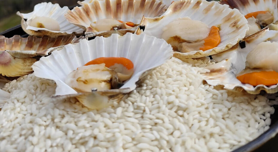 I risotti sono il piatto forte del menù di Ca' del Poggio, principalmente a base di pesce