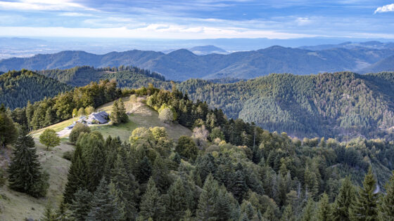 Foresta Nera Germania