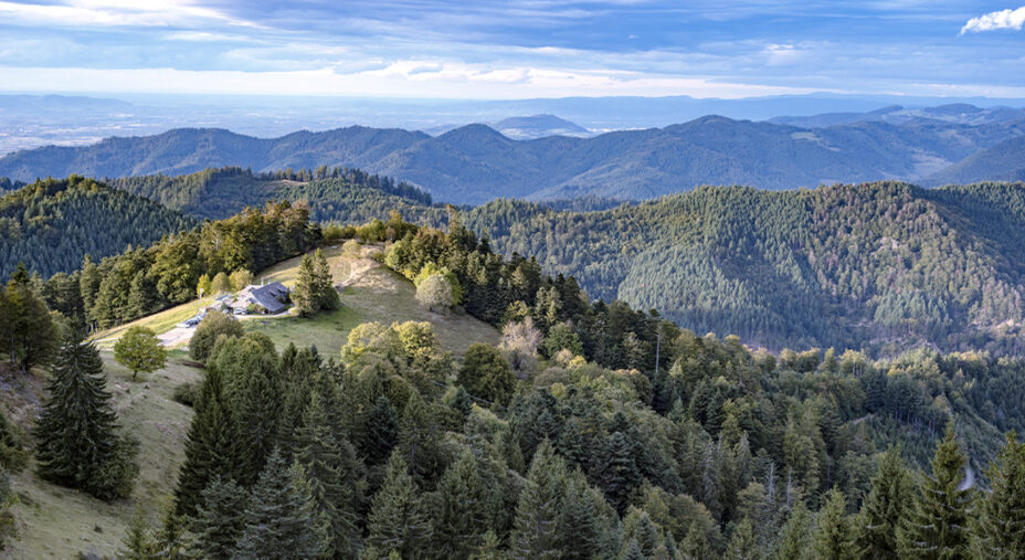 Foresta Nera Germania
