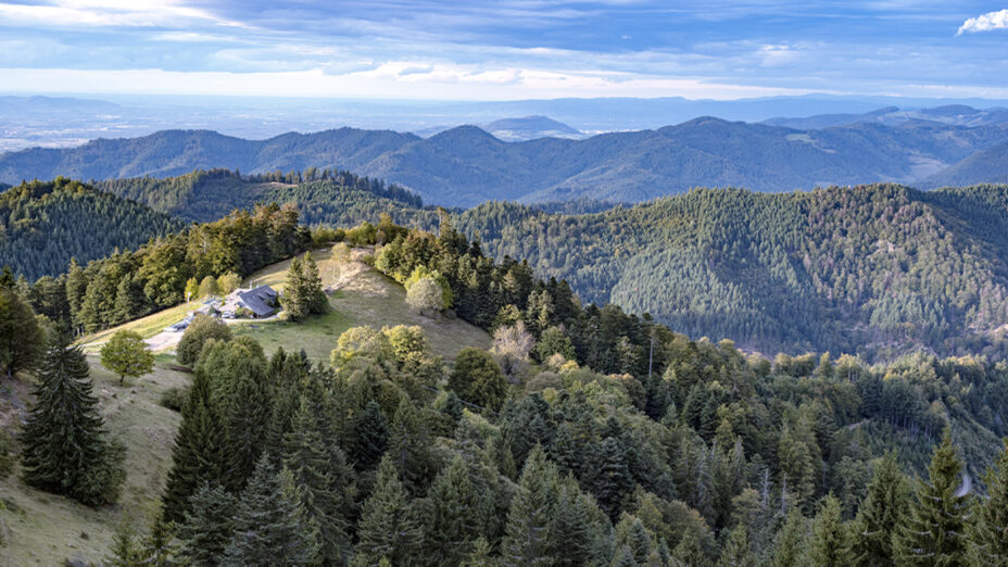 Foresta Nera Germania