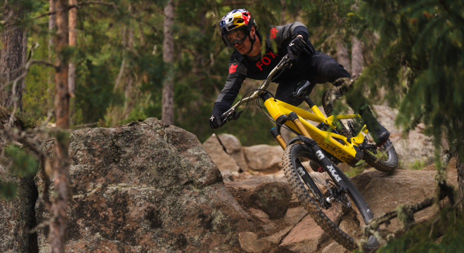 Orbea, Wild, e-mtb