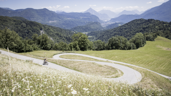 Silent Alps, Carnia