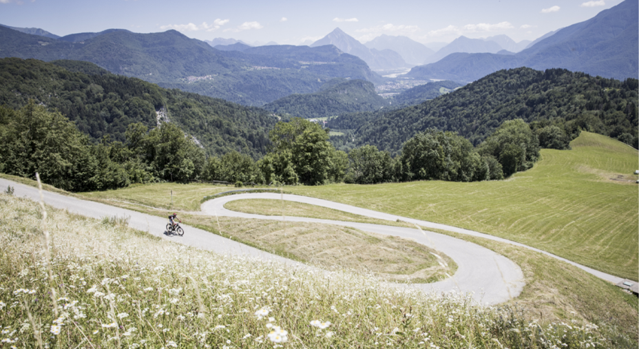 Silent Alps, Carnia