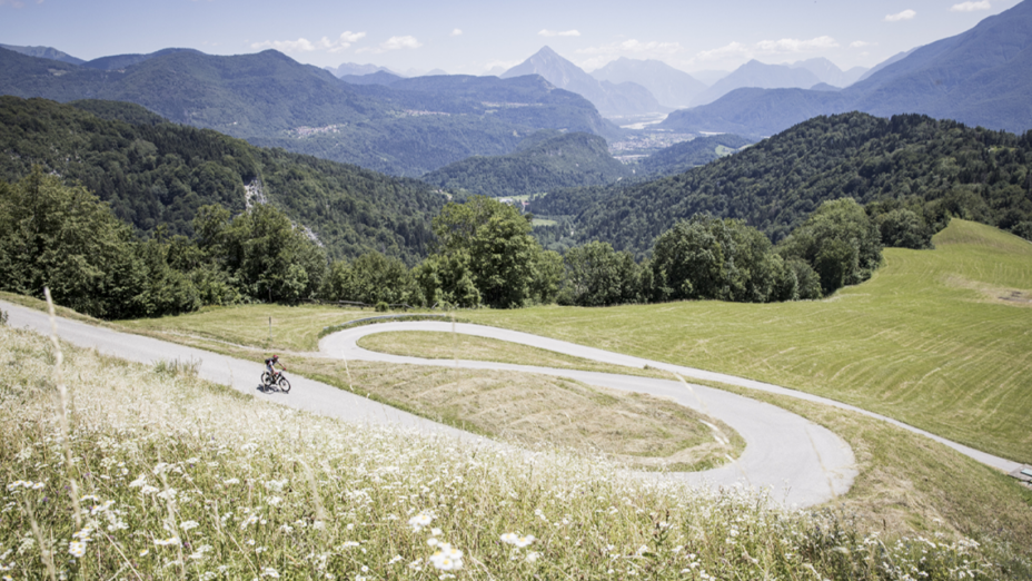 Silent Alps, Carnia