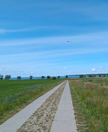 Le ciclabili ottimamente tenute, puntano dritte verso il mare, in un ambiente verdissimo