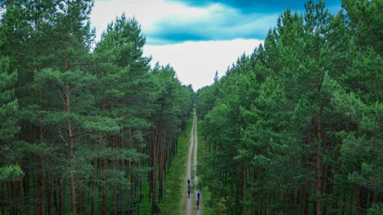 Riserva naturale di Stepnica (foto di Raffaella Cegna)