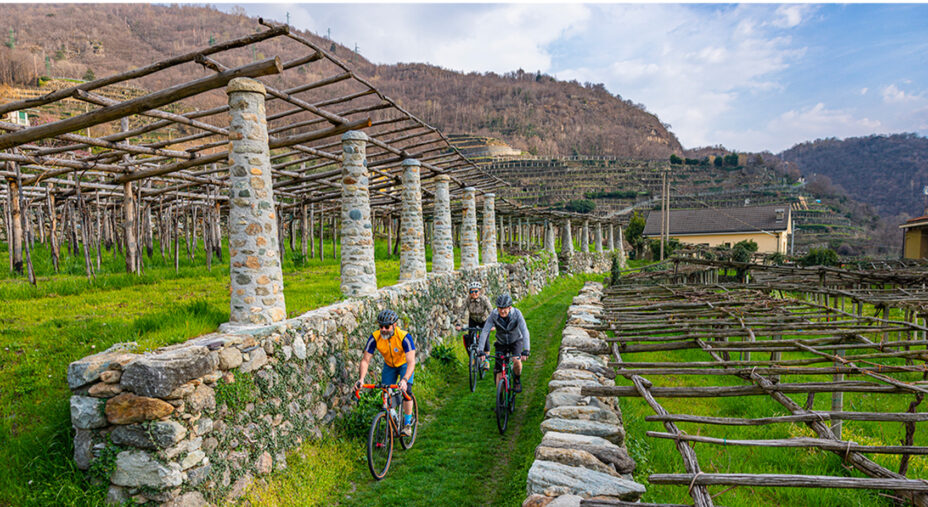 Un microclima permette la coltivazione dei vigneti del Nebbiolo di Carema (foto Edoardo Melchiori)