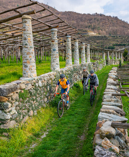 Un microclima permette la coltivazione dei vigneti del Nebbiolo di Carema (foto Edoardo Melchiori)