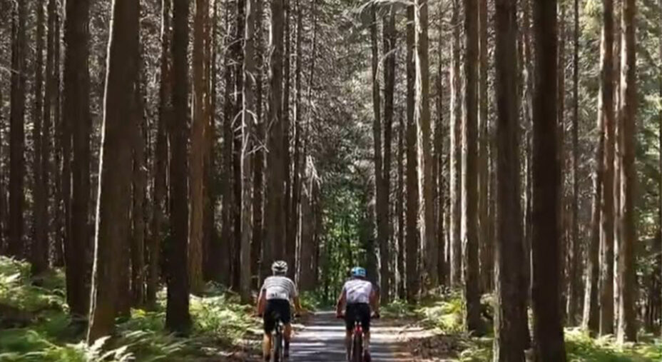 La South Italy Greenways è solo l'ultima delle iniziative per promuovere la Ciclovia dei Parchi di Calabria all'estero